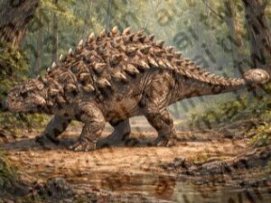 Ankylosaurus