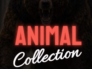 Animal Collection