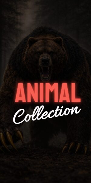 Animal Collection