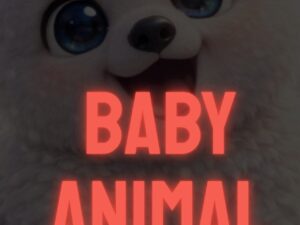 Baby Animal Collection